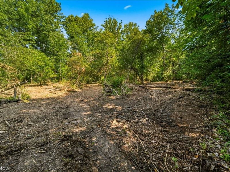 Hanna Road, Willoughby Hills, OH 44094 Photo 11