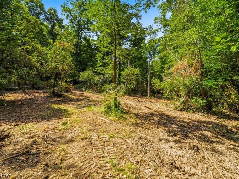 Hanna Road, Willoughby Hills, OH 44094 Photo 13