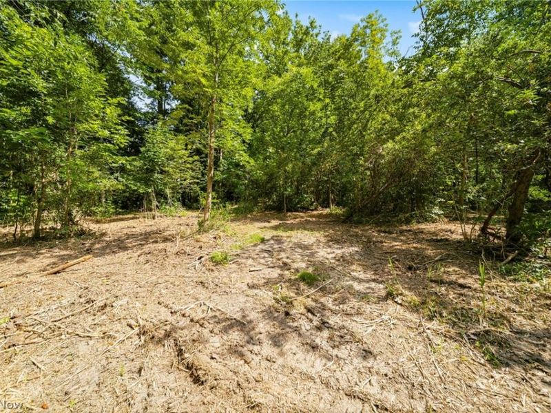 Hanna Road, Willoughby Hills, OH 44094 Photo 15