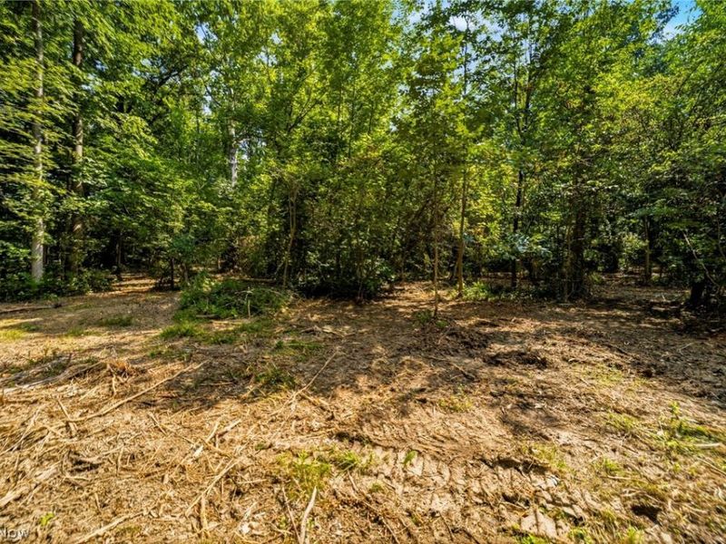 Hanna Road, Willoughby Hills, OH 44094 Photo 17