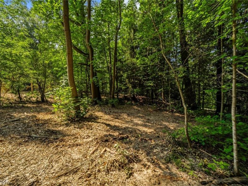 Hanna Road, Willoughby Hills, OH 44094 Photo 18