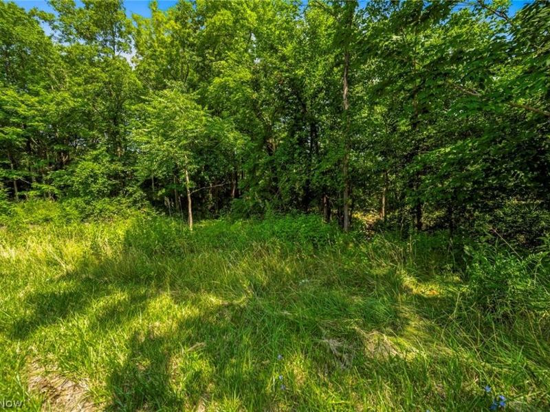 Hanna Road, Willoughby Hills, OH 44094 Photo 22