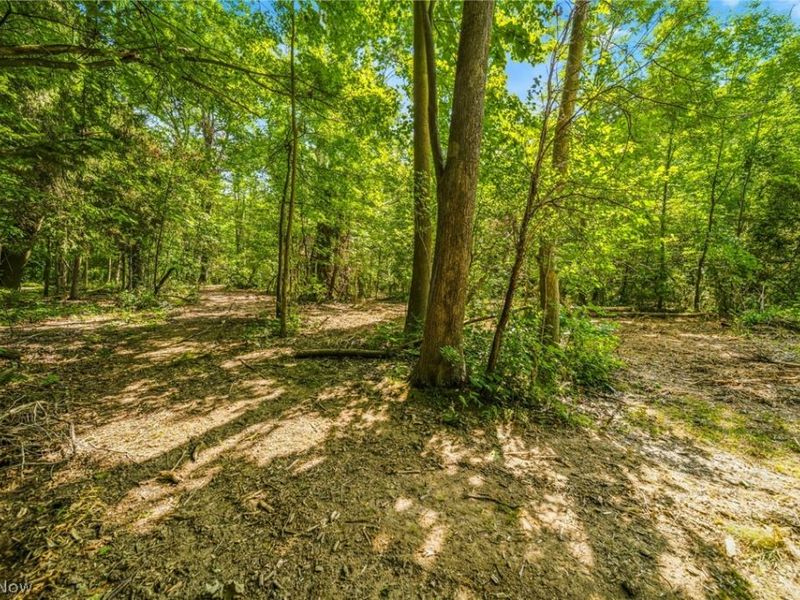 Hanna Road, Willoughby Hills, OH 44094 Photo 5