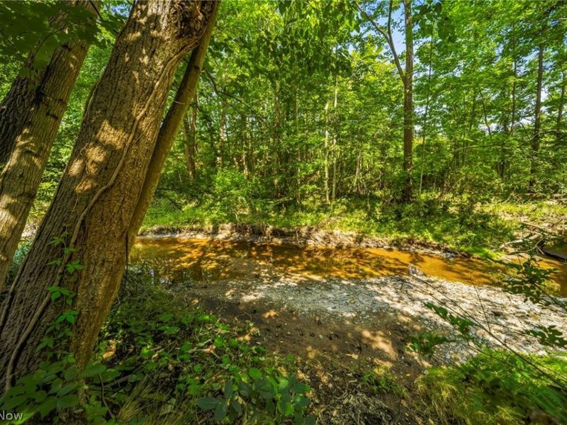 Hanna Road, Willoughby Hills, OH 44094 Photo 6