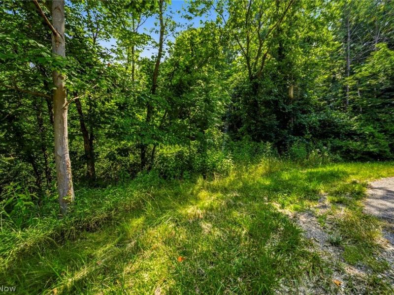 Hanna Road, Willoughby Hills, OH 44094 Photo 9