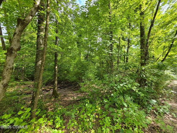 6102 TROXELVILLE Road, Beavertown, PA 17813