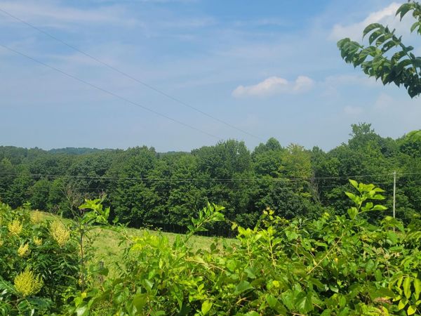 1561 Wickline Road , Beaver, OH 45613
