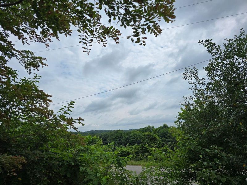 1561 Wickline Road , Beaver, OH 45613 Photo 3