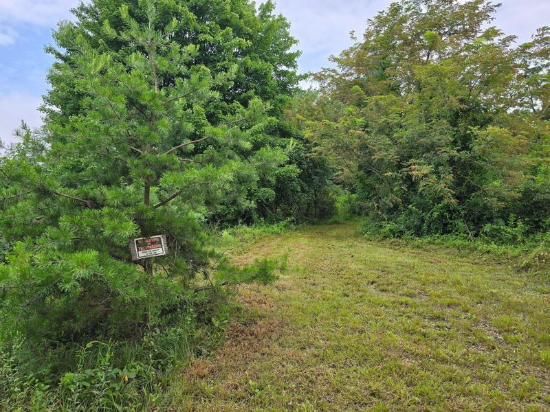 1561 Wickline Road , Beaver, OH 45613 Photo 6