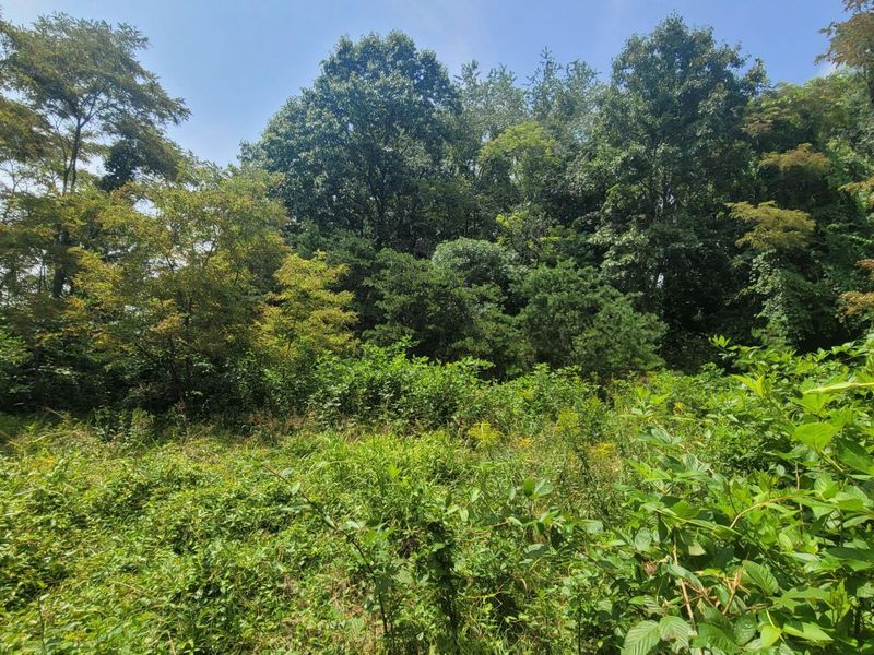 1561 Wickline Road , Beaver, OH 45613 Photo 7