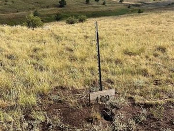 1100 Grumpy Burrow View, Cripple Creek, CO 80863