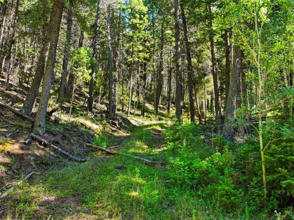 13446 S Firedog Way , Larkspur, CO 80118