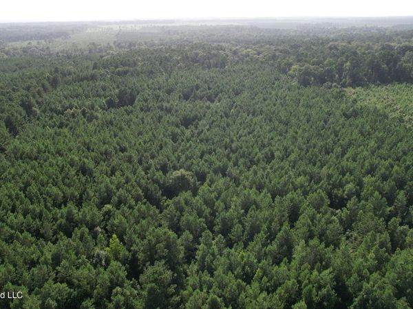Bethel Road , Liberty, MS 39645