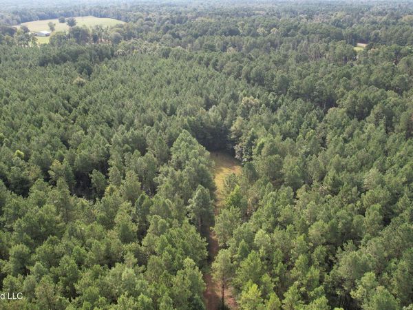 Bethel Road , Liberty, MS 39645