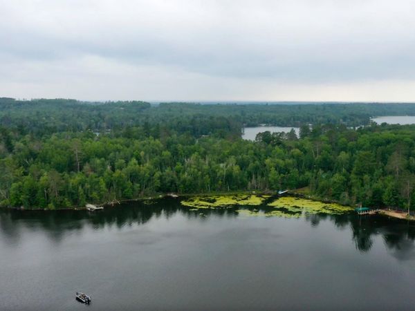 TBD Muskego Bay , Cook, MN 55723