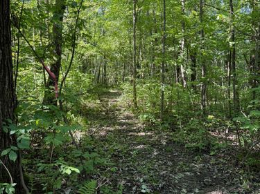 23701 60th Avenue, Milaca, MN 56353