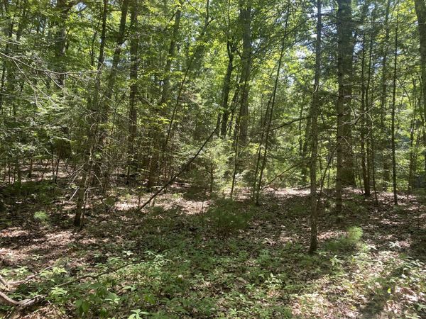 Lot 19 Bernard Whitney Rd, New Braintree, MA 01531