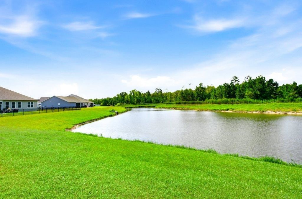 210 Carver Willow Dr.  Photo 25