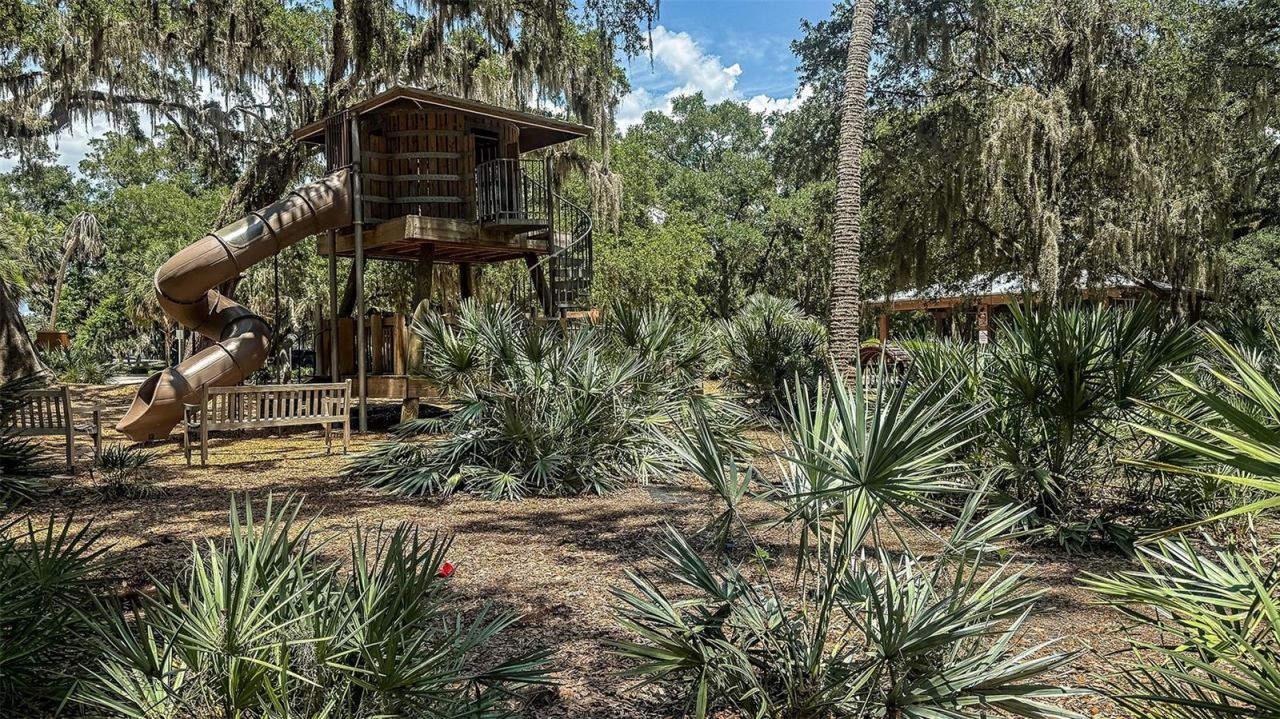 541 Moonstone Court, Groveland, FL 34736 Photo