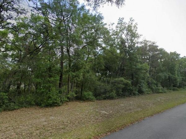 0 SE 59TH PLACE , OCKLAWAHA, FL 32179