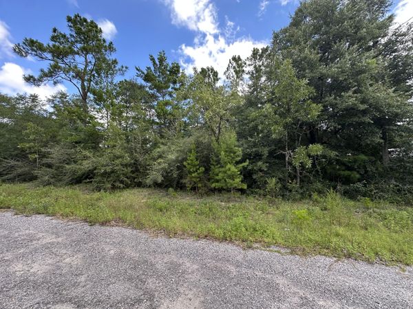 TBD Pinetree Lane, DeFuniak Springs, FL 32433