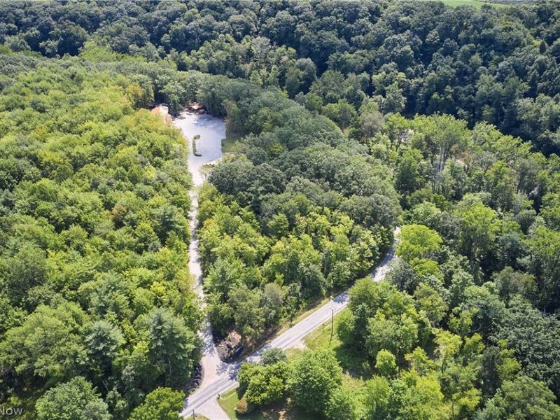 834 Clyde Hill Road , Harpersfield, OH 44041 Photo 13