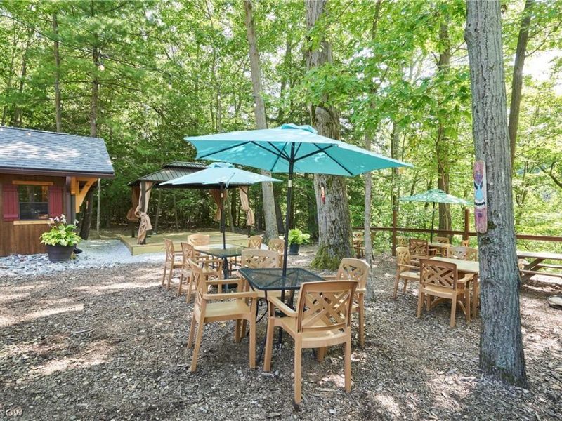 834 Clyde Hill Road , Harpersfield, OH 44041 Photo 32