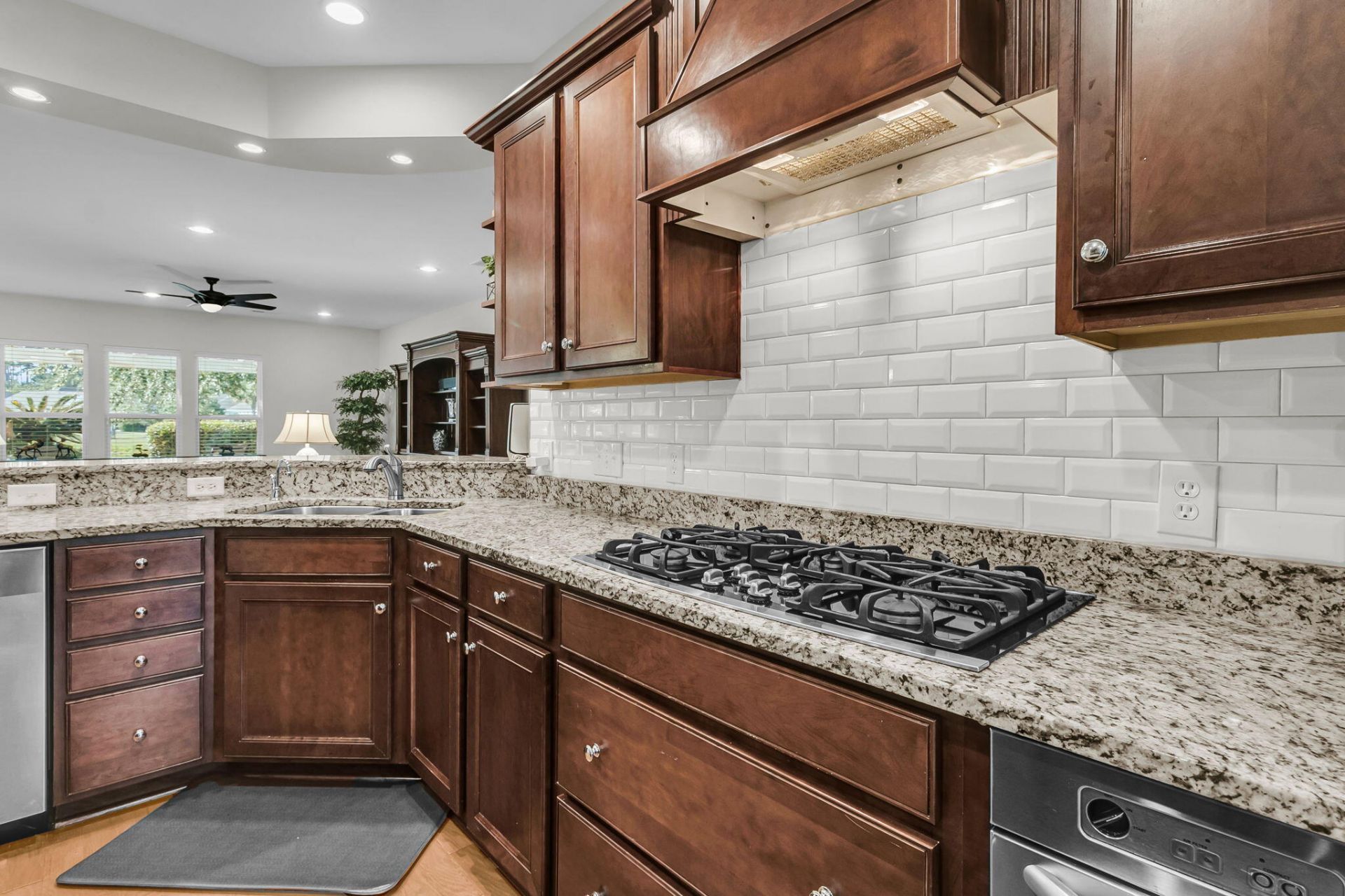 313 Waterlily Way Photo 21