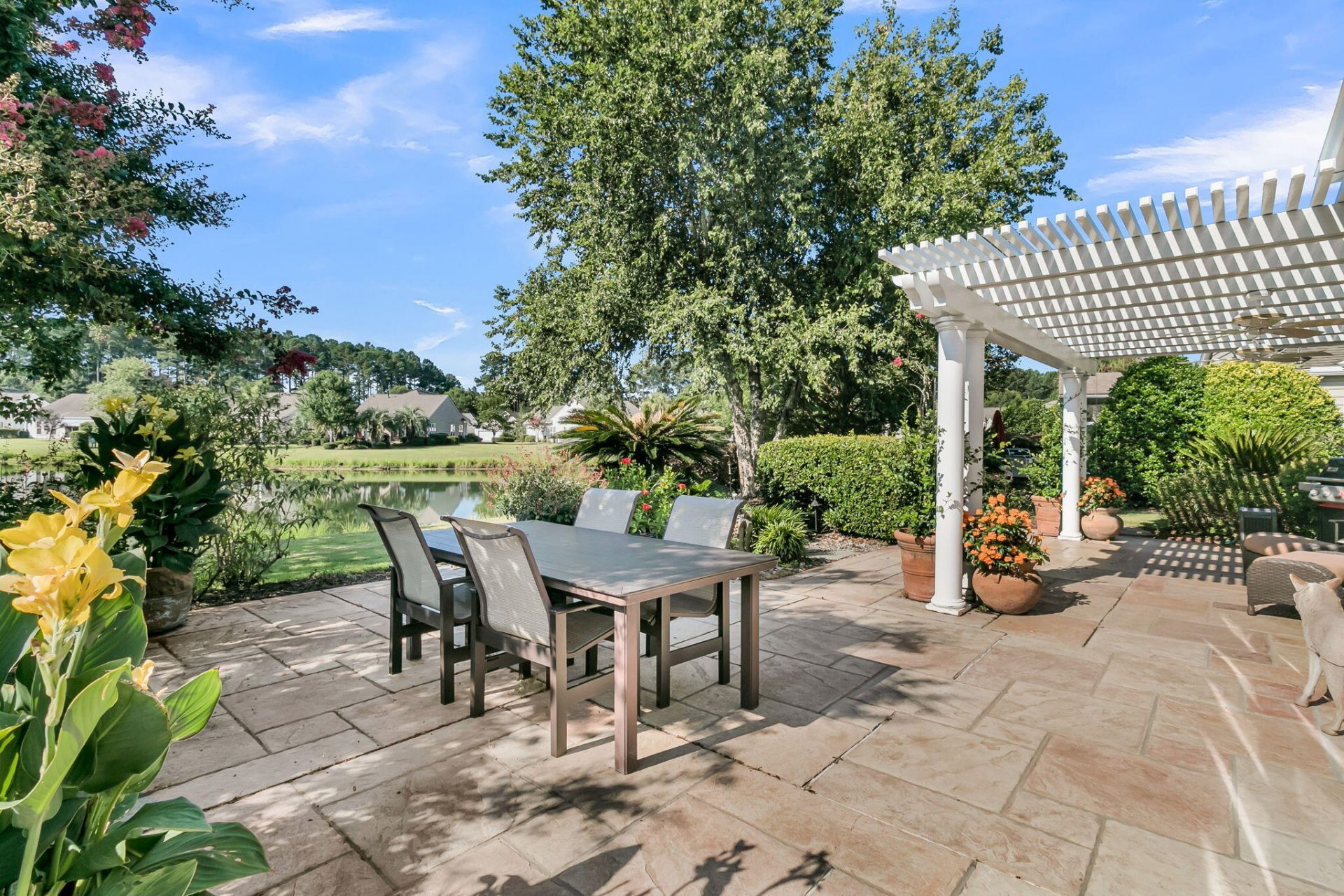 313 Waterlily Way Photo 49