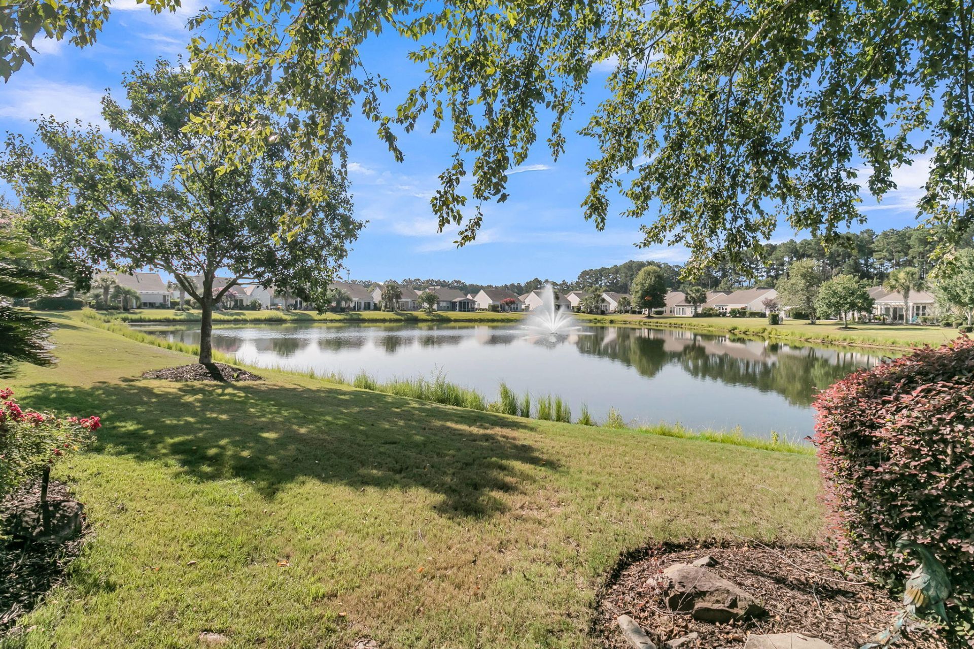 313 Waterlily Way Photo 54