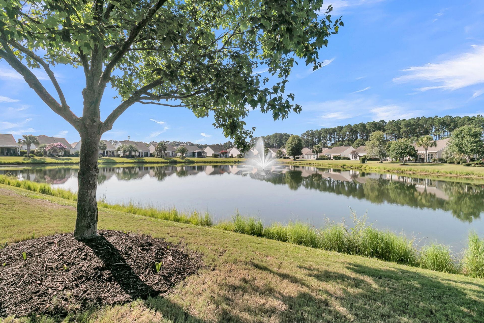313 Waterlily Way Photo 55