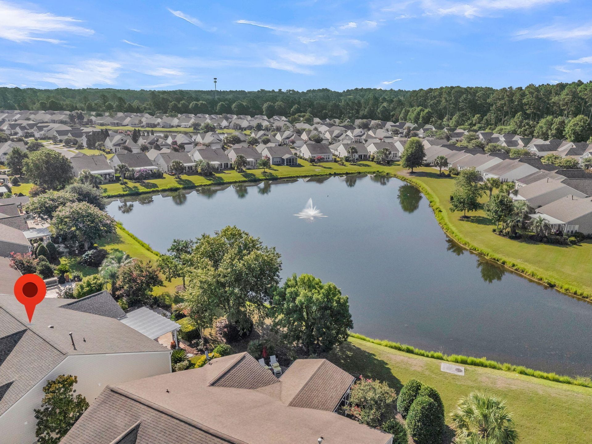313 Waterlily Way Photo 59