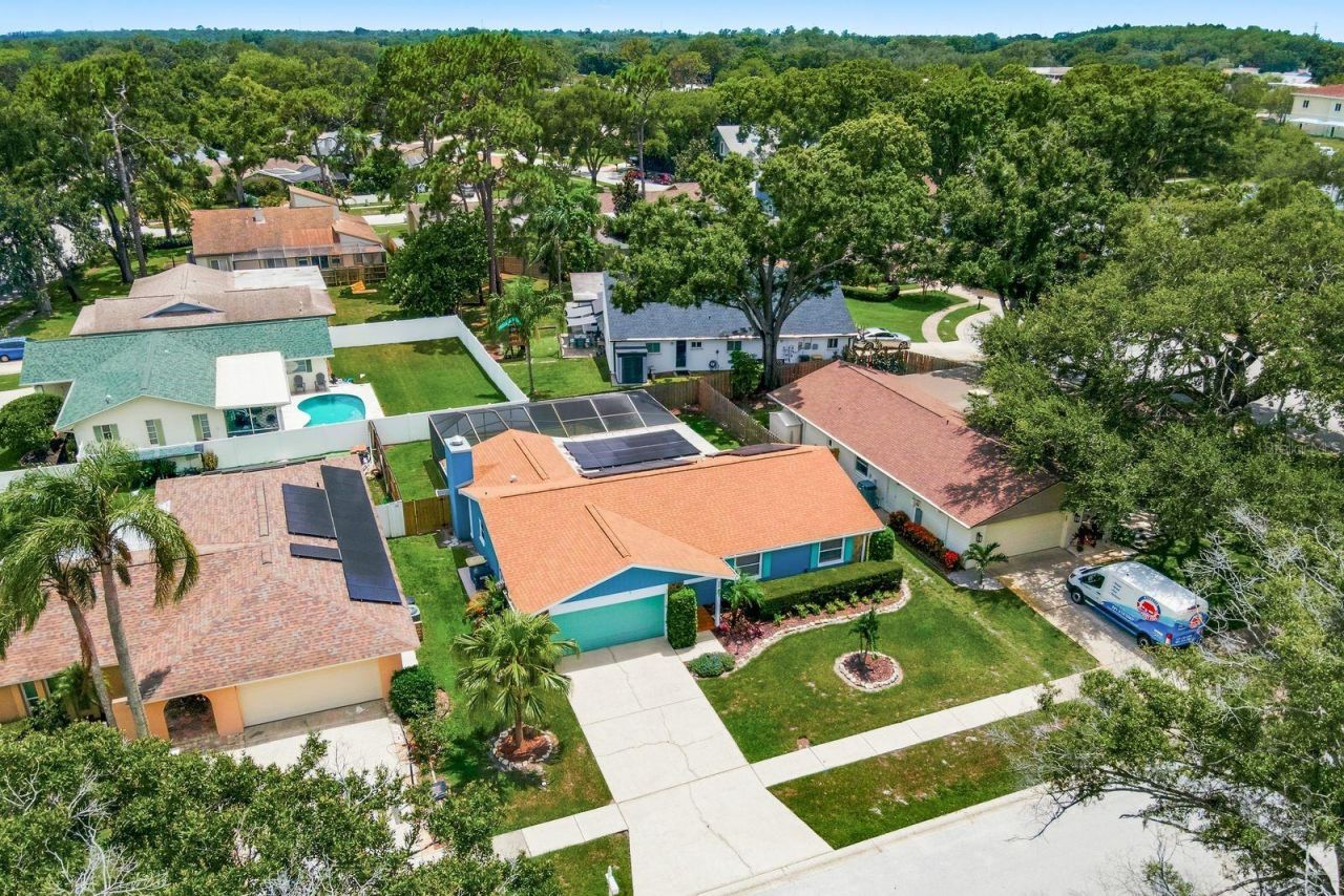 3047 Cascade Drive, Clearwater, FL 33761 Photo