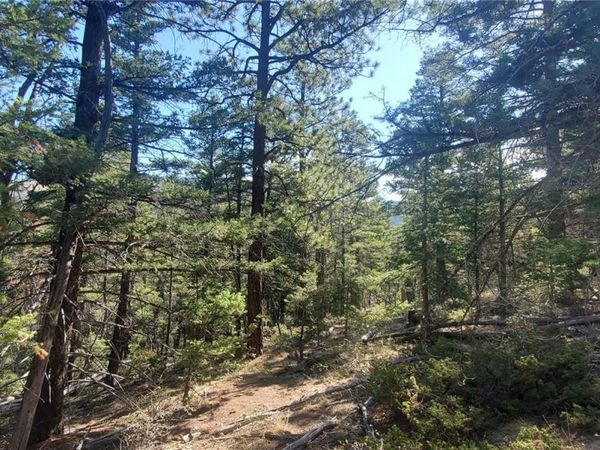 Lot 5273 Vivian Road , Fort Garland, CO 81133