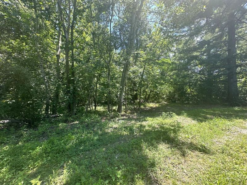 5812 Belfast Owensville Road, Stonelick Township, OH 45103 Photo 21
