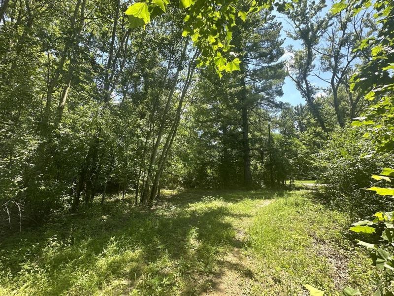 5812 Belfast Owensville Road, Stonelick Township, OH 45103 Photo 22