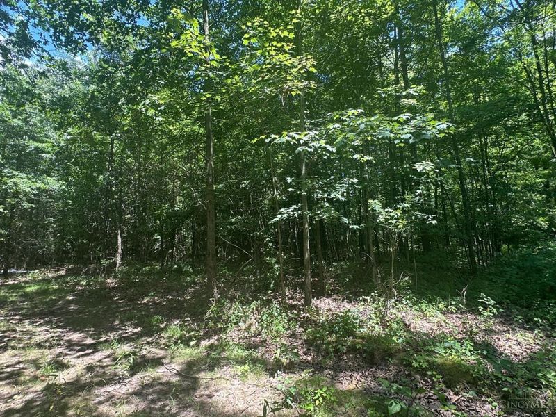 5812 Belfast Owensville Road, Stonelick Township, OH 45103 Photo 27