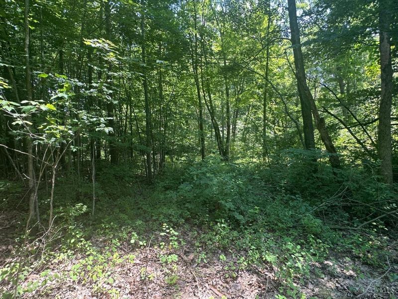 5812 Belfast Owensville Road, Stonelick Township, OH 45103 Photo 29