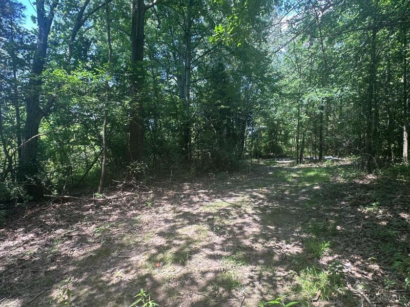 5812 Belfast Owensville Road, Stonelick Township, OH 45103 Photo 30