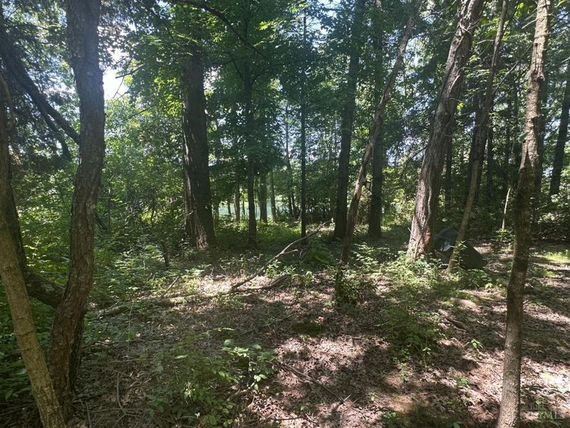 5812 Belfast Owensville Road, Stonelick Township, OH 45103 Photo 31