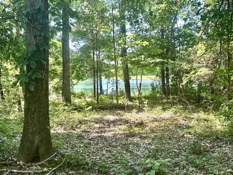 5812 Belfast Owensville Road, Stonelick Township, OH 45103 Photo 32