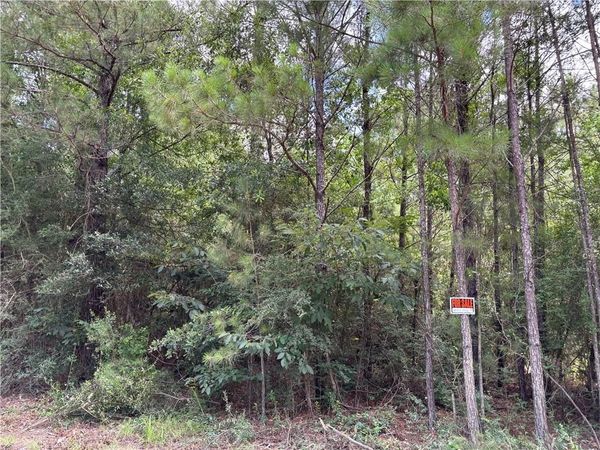 1.529 AC TRAPPERS RUN , Albany, LA 70711