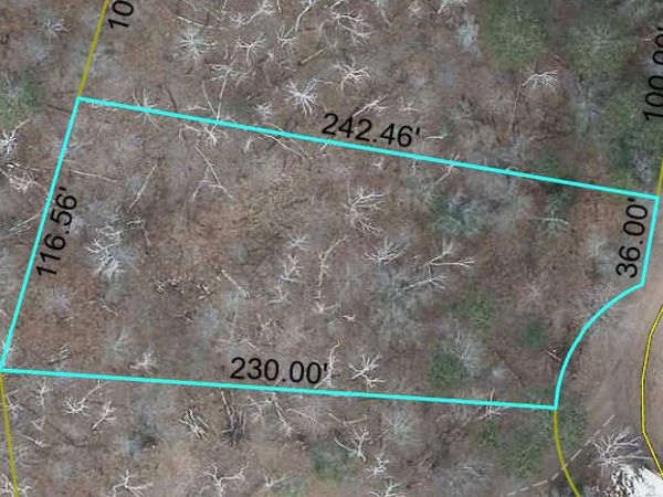 Lot 196 Deerpath Pass , Danbury, WI 54830