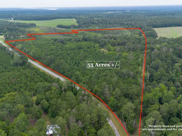 276 McLauglin Road, Bainbridge, GA 39819