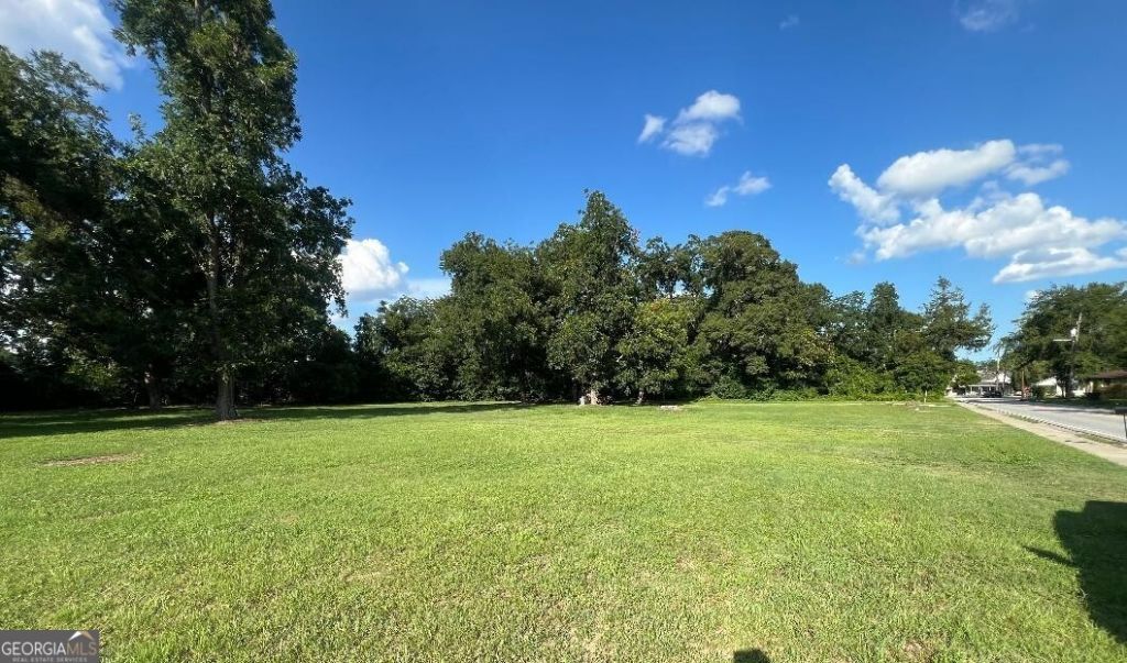 6 Denmark Street, Statesboro, GA 30458 Main Photo