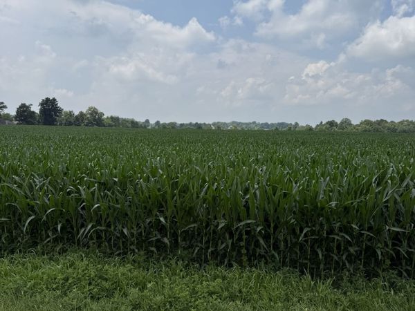 0 Morrison Road , Muncie, IN 47304
