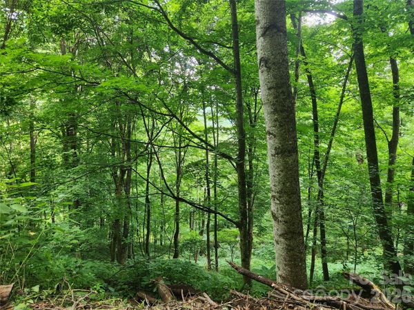 0000 Jacks Knob Road , Weaverville, NC 28787