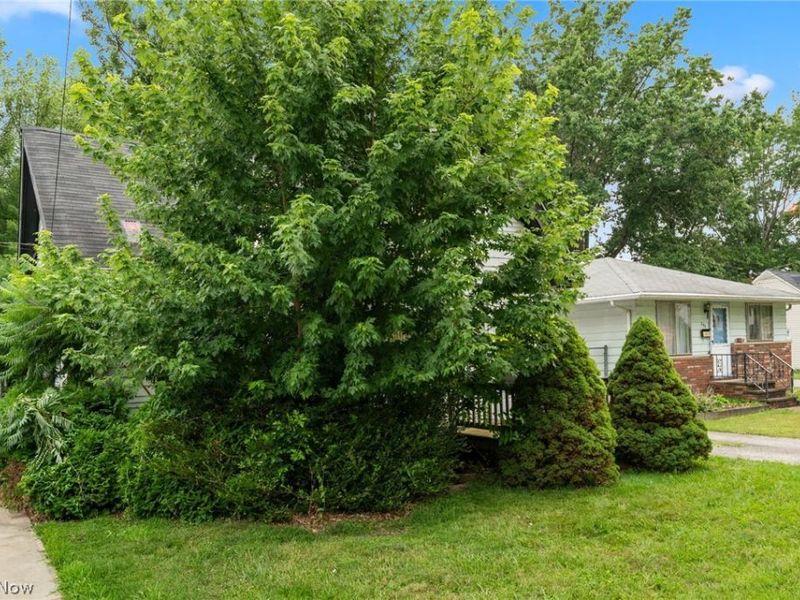 250 Plymouth Road, Eastlake, OH 44095 Photo 2