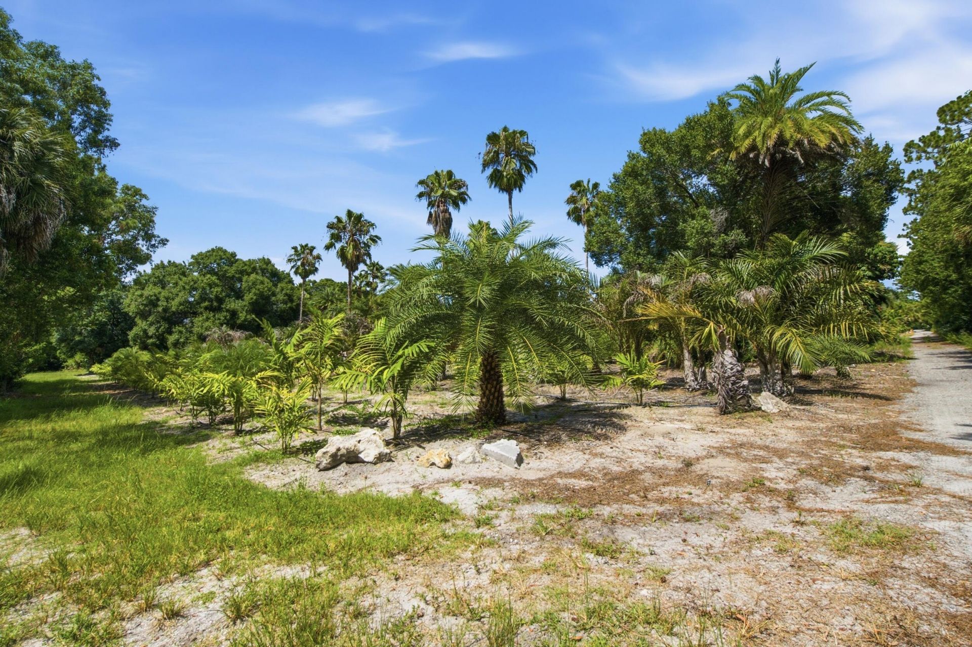3761 C Road, Loxahatchee Groves, FL 33470 Photo
