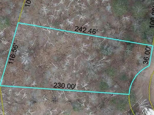 Lot 196 Deerpath Pass, Danbury, WI 54830